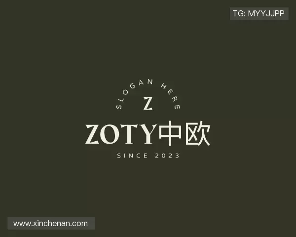 认识zoty中欧